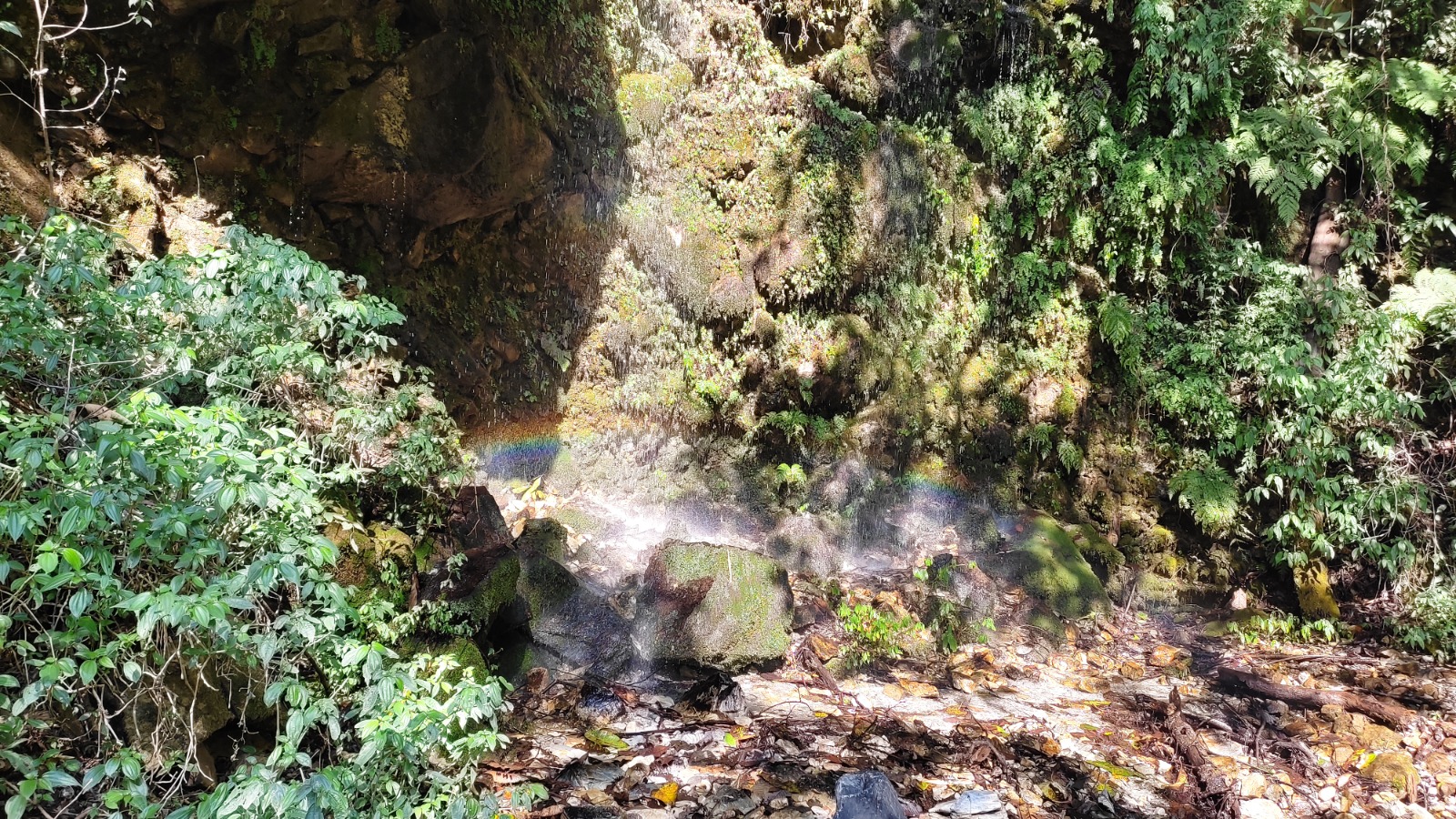 image2